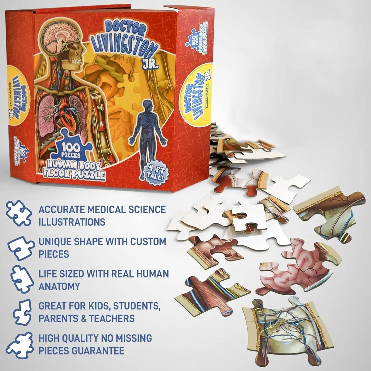 BodyPuzzle – Educational Anatomy Puzzle for Kids