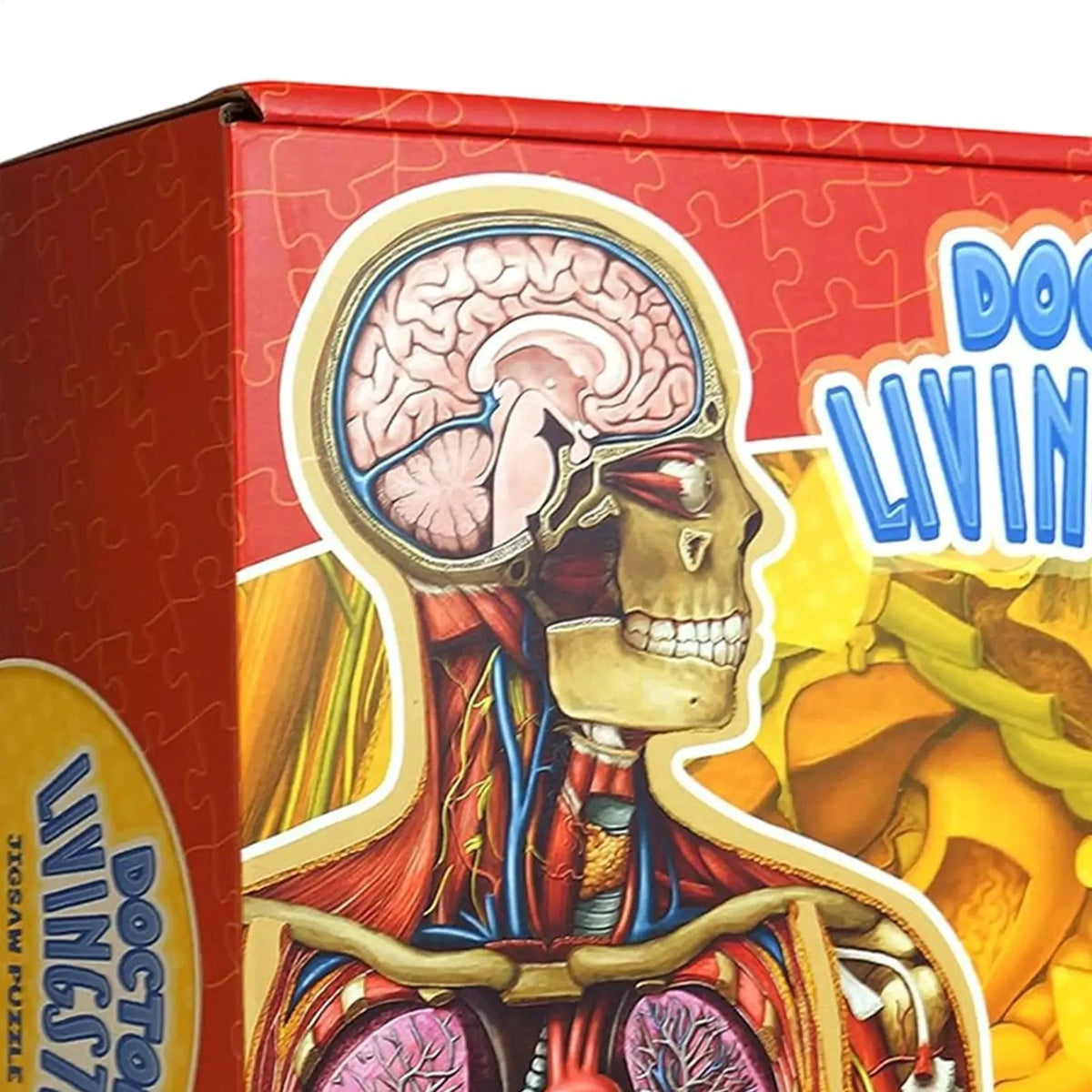 BodyPuzzle – Educational Anatomy Puzzle for Kids