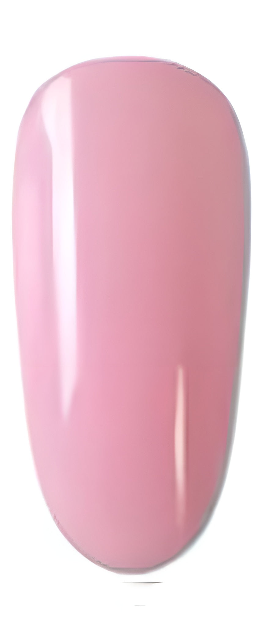 NailPen Professional Gel Manicure Pen