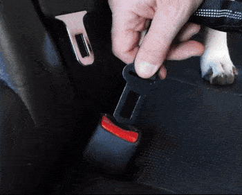 PawGuard Car Seat Belt for Dogs