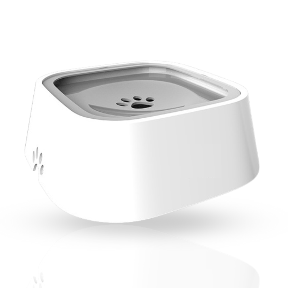 PetWater No-Splash Pet Bowl