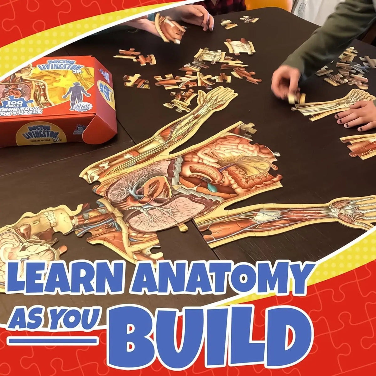 BodyPuzzle – Educational Anatomy Puzzle for Kids