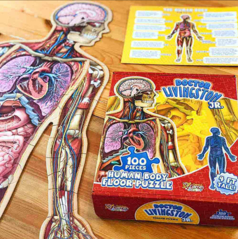 BodyPuzzle – Educational Anatomy Puzzle for Kids