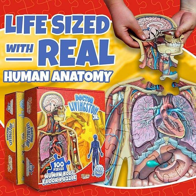 BodyPuzzle – Educational Anatomy Puzzle for Kids