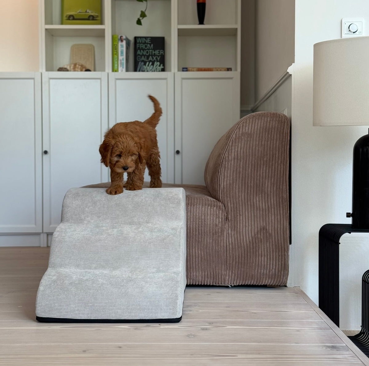 CouchStairs – Pet Steps for Couch and Bed