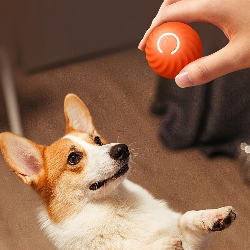 DogCatFri HuntingToy Anwendung