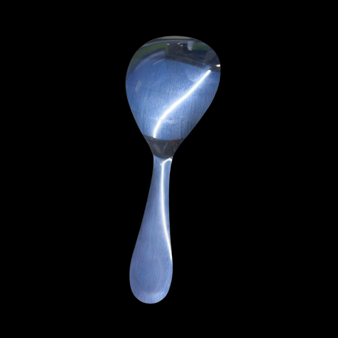 RiceSpoon Non-Stick Stainless Steel Rice Serving Spoon