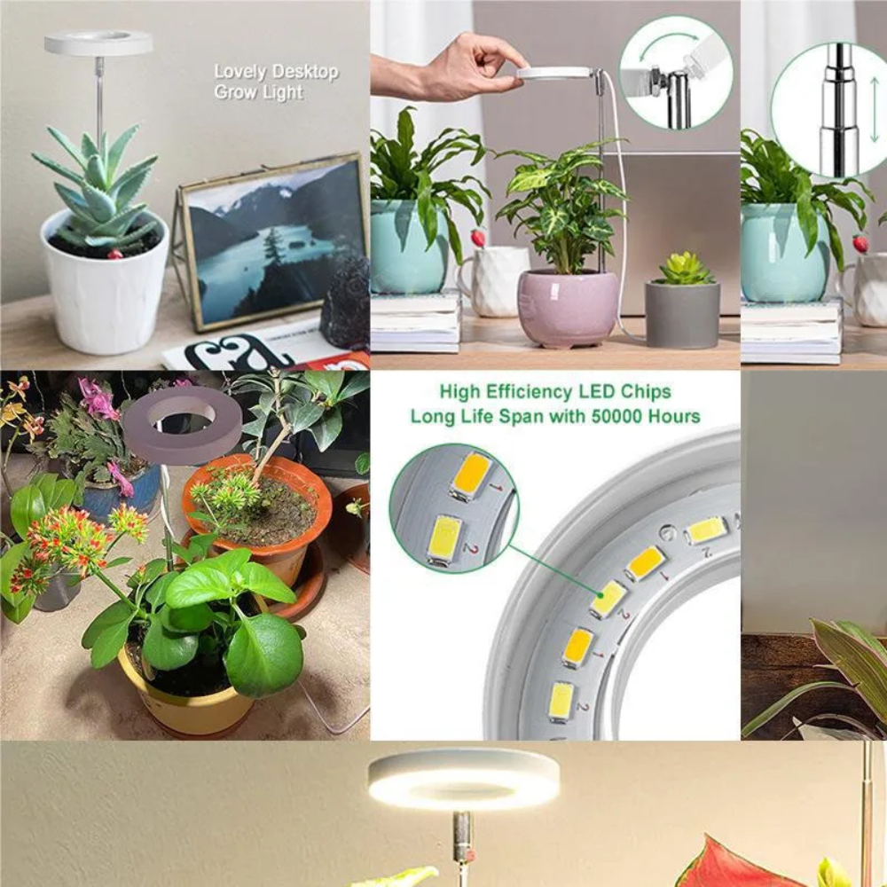 LED Plant Light for Indoor Plants – Adjustable