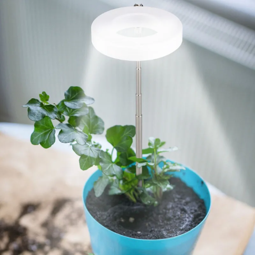 LED Plant Light for Indoor Plants – Adjustable