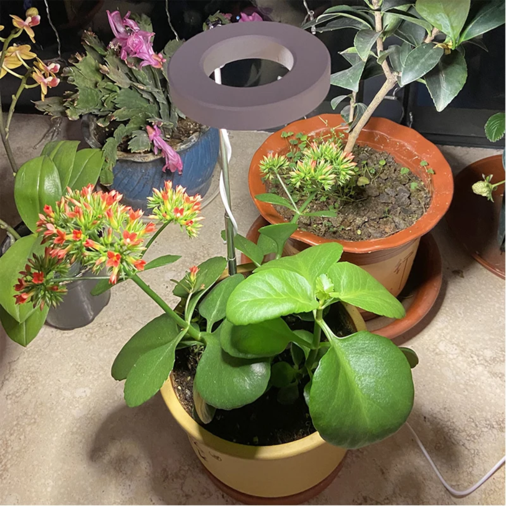 LED Plant Light for Indoor Plants – Adjustable