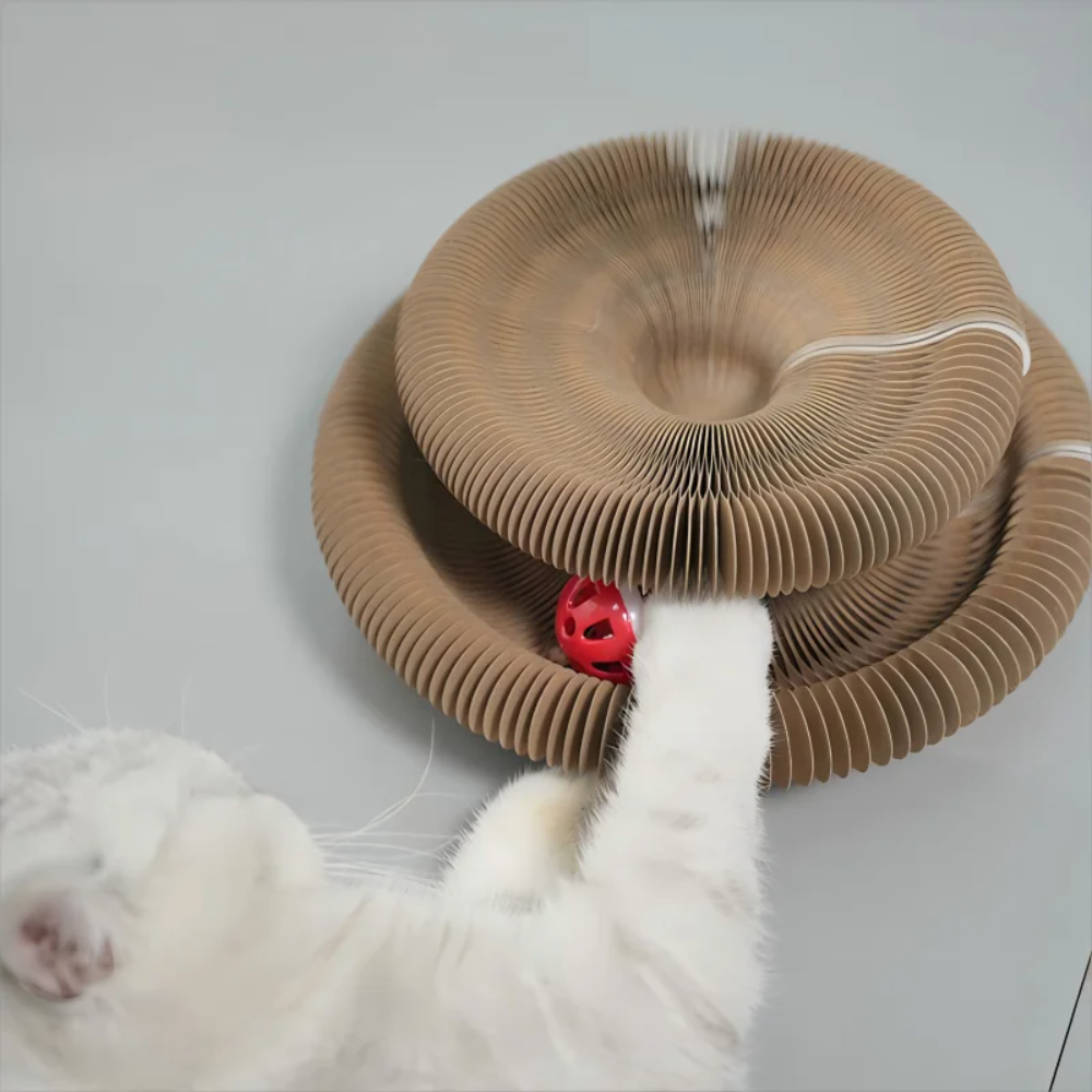 Nahaufnahme des Glöckchenballs in der Wabenstruktur mit Katzenpfote