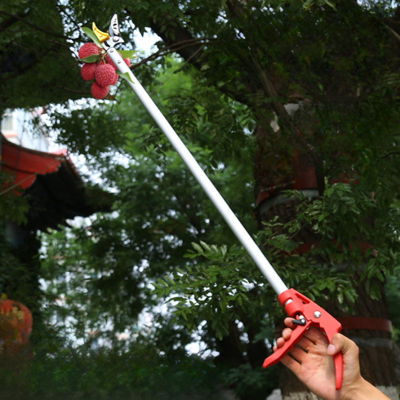 FruitPicker – Fruit Picker with Extension, No Climbing Required