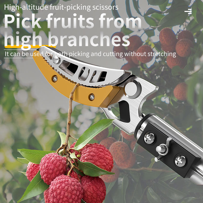 FruitPicker – Fruit Picker with Extension, No Climbing Required