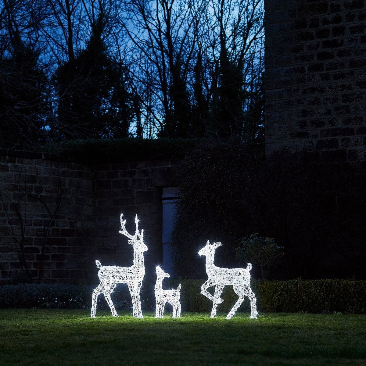 LED Reindeer Family Outdoor – 540 LEDs, Timer Function