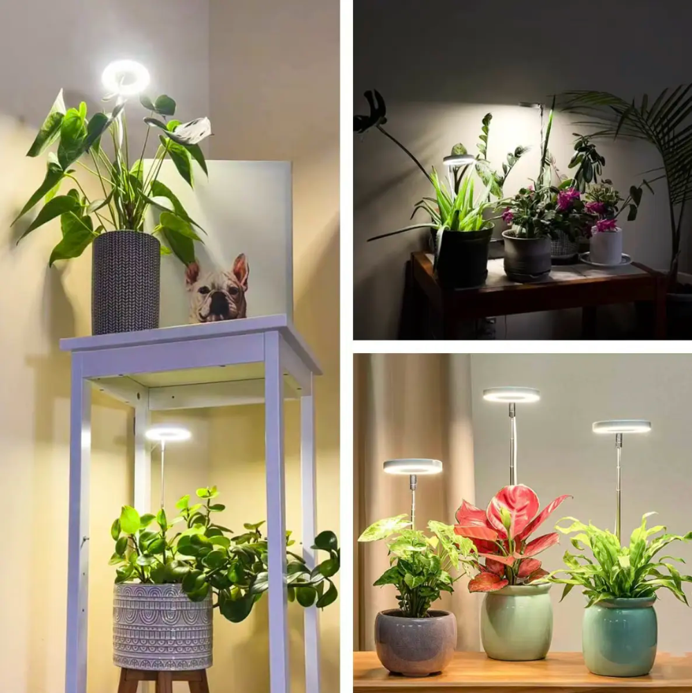 LED Plant Light for Indoor Plants – Adjustable