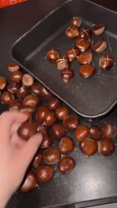 Nussknacker Demonstration GIF