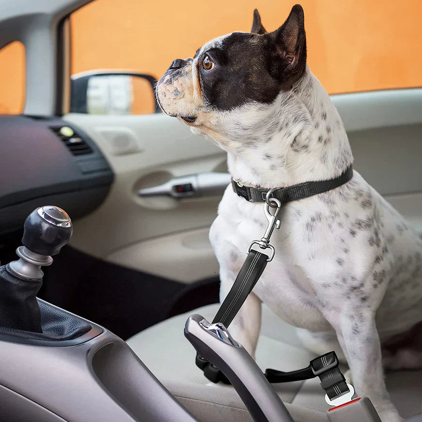 PawGuard Car Seat Belt for Dogs