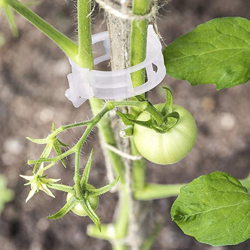 PlantClips – Reusable plant support clips, set of 100