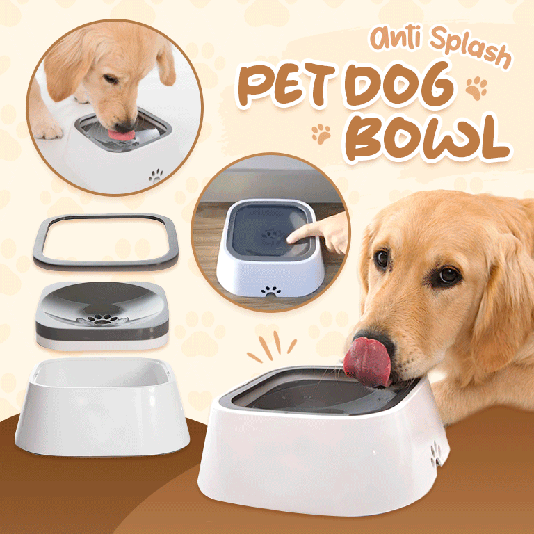 PetWater No-Splash Pet Bowl