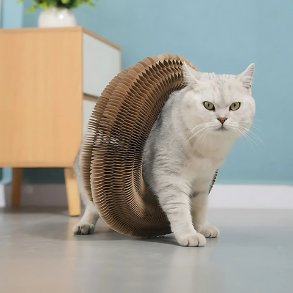 Weiße Katze streckt sich über die aufgestellte Catfri FoldScratcher