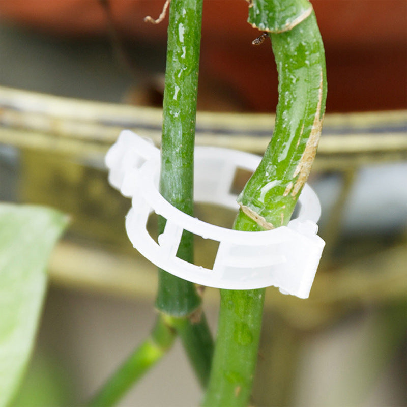 PlantClips – Reusable plant support clips, set of 100