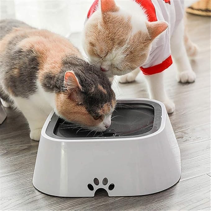 PetWater No-Splash Pet Bowl