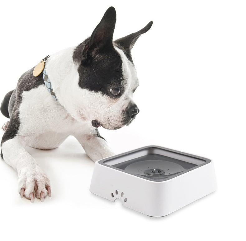 PetWater No-Splash Pet Bowl