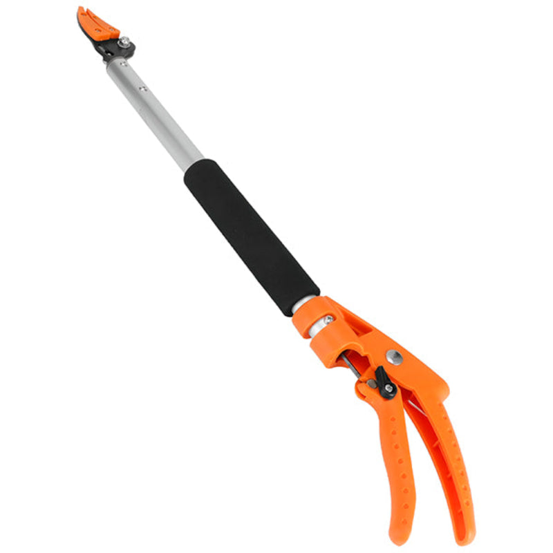FruitPicker – Fruit Picker with Extension, No Climbing Required