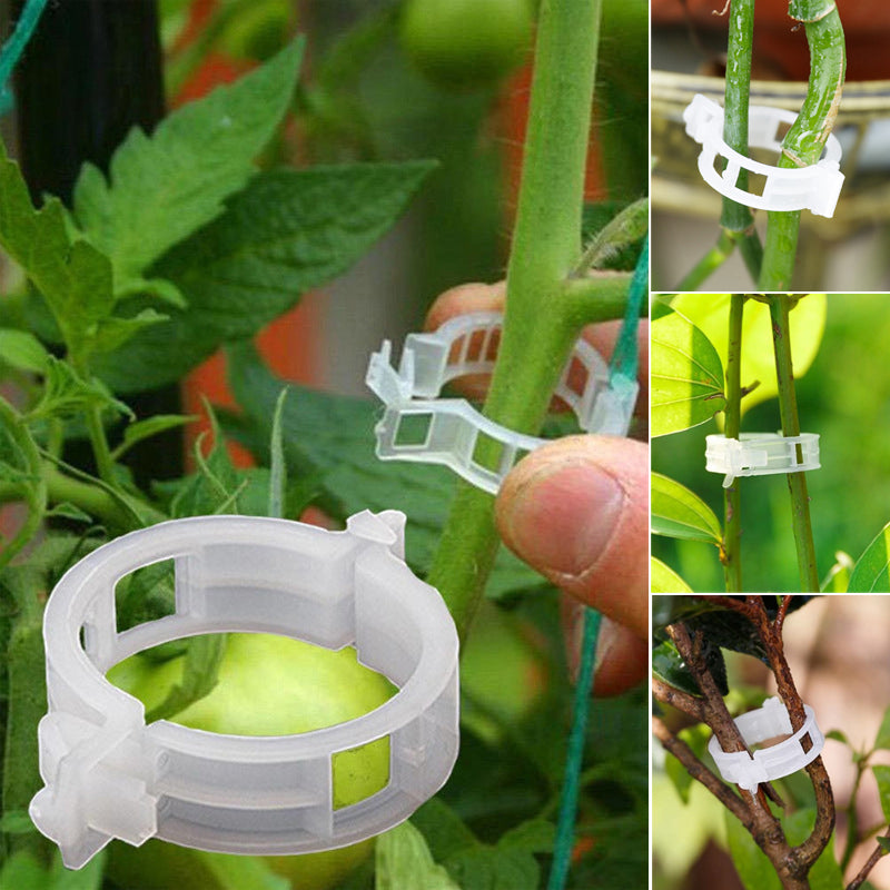 PlantClips – Reusable plant support clips, set of 100
