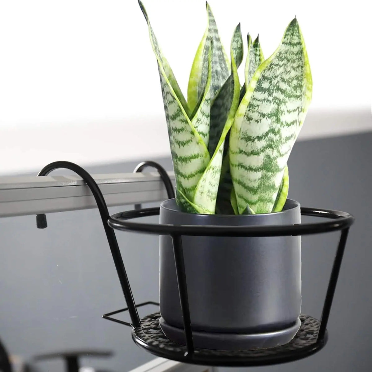 PlantBasket – Hanging Window Plant Basket, Set of 2