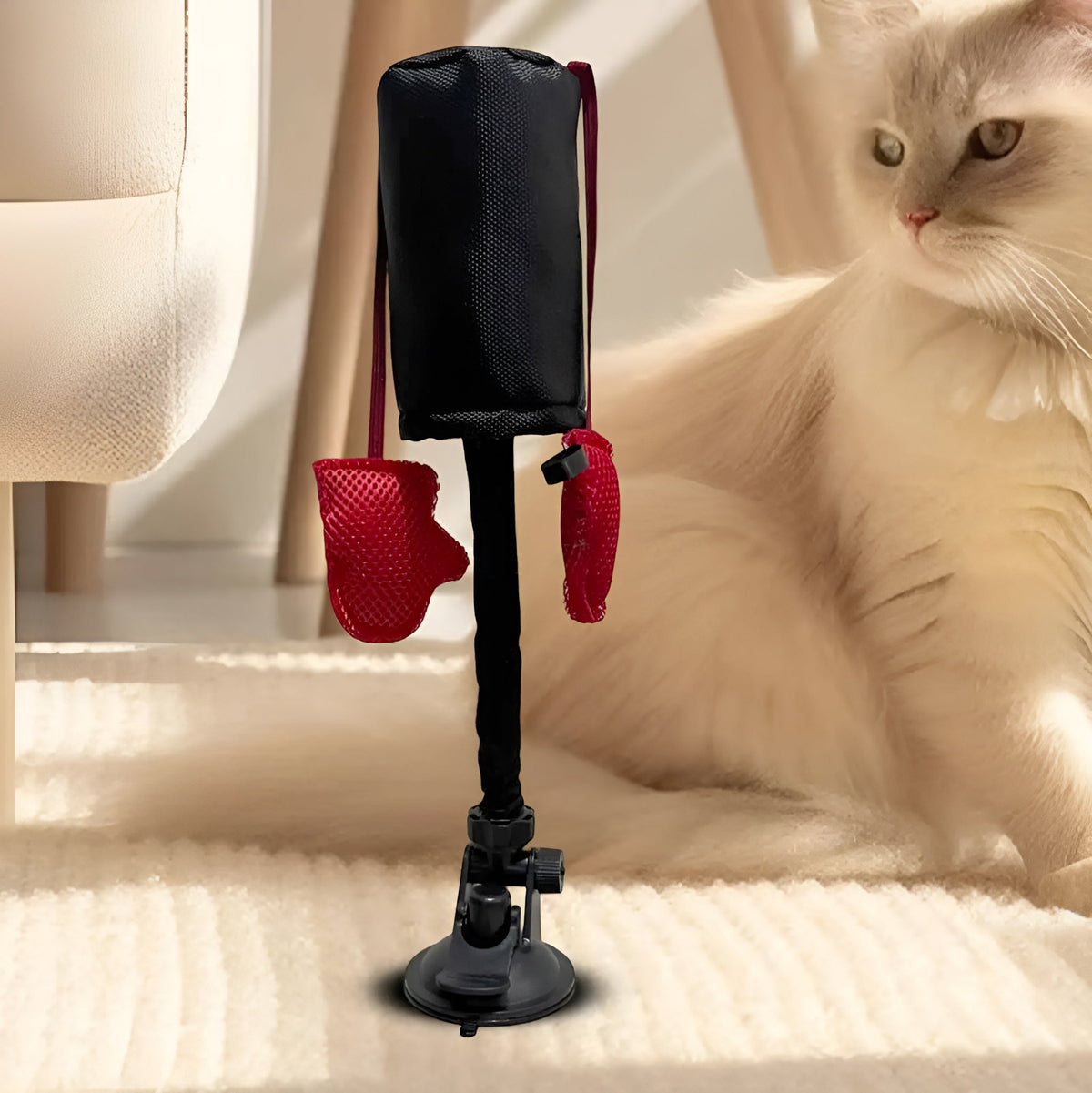 PunchingBag im Wohnzimmer neben Katze montiert