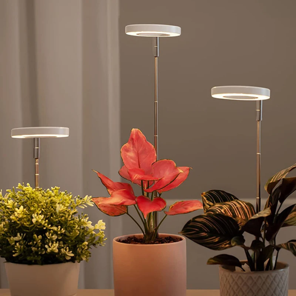 LED Plant Light for Indoor Plants – Adjustable