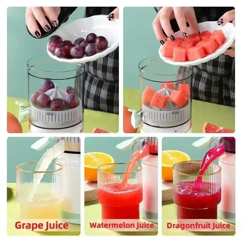 FruitJuicer Anwendung Zitrusfrüchte