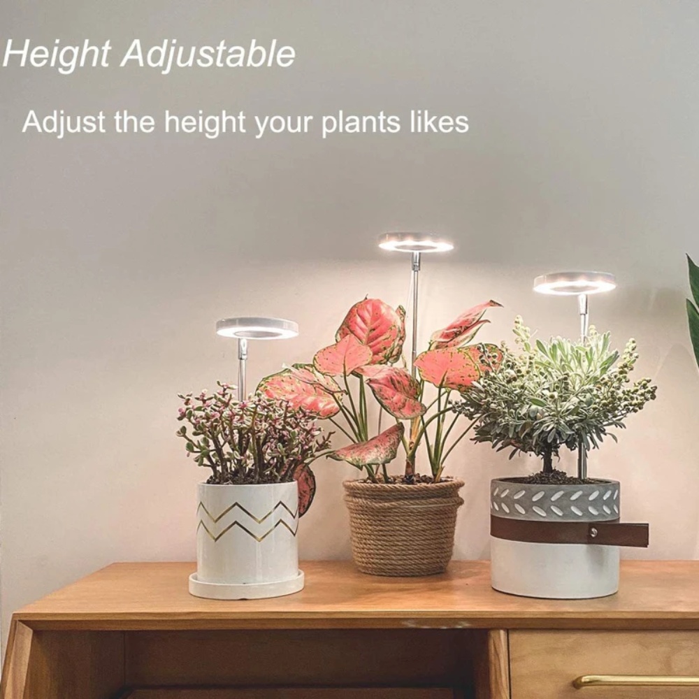 LED Plant Light for Indoor Plants – Adjustable