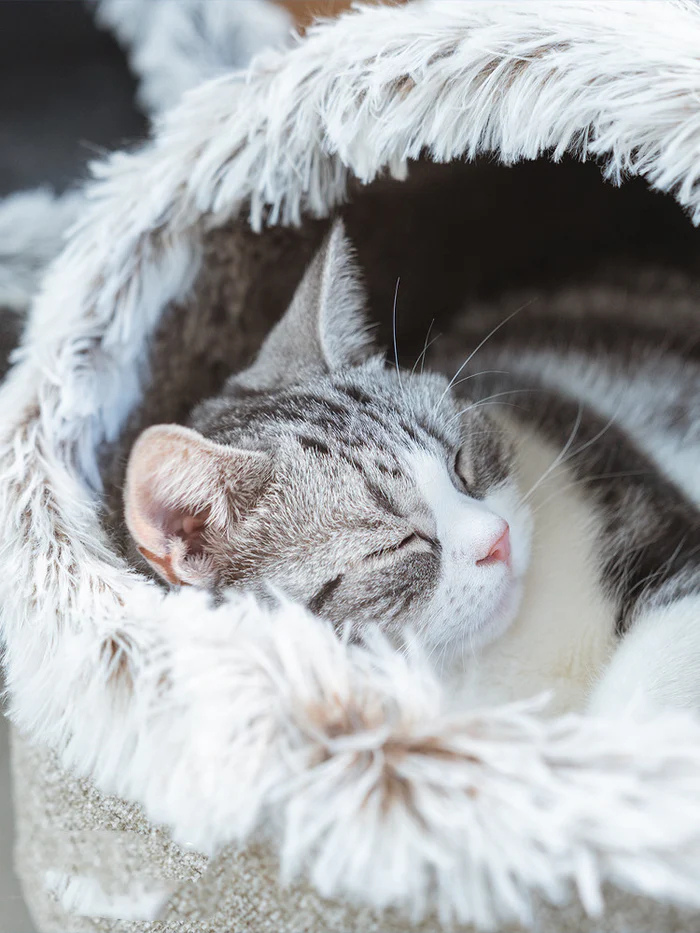 CozyCat Warm Cuddly Nest for Cats