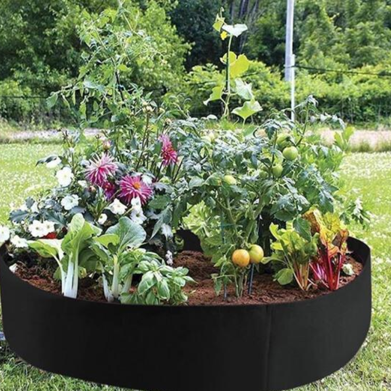 GardenBed Hochbeet mit Tomaten und Blumen im Garten bepflanzt
