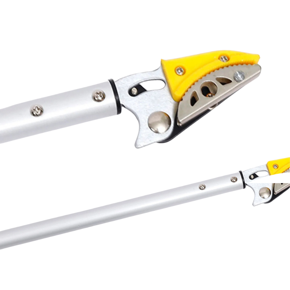 FruitPicker – Fruit Picker with Extension, No Climbing Required