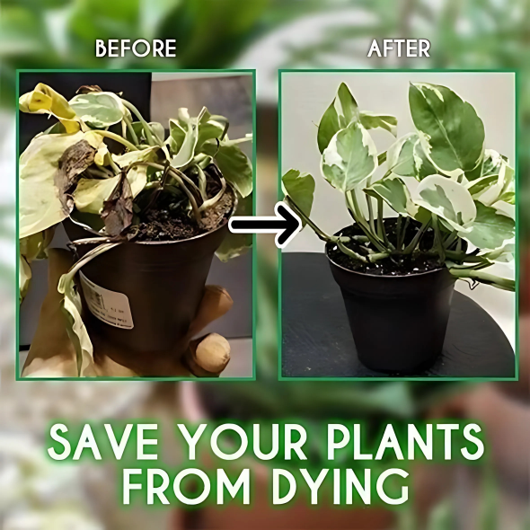 LiquidFertilizer – Liquid fertilizer for houseplants and hydroponics