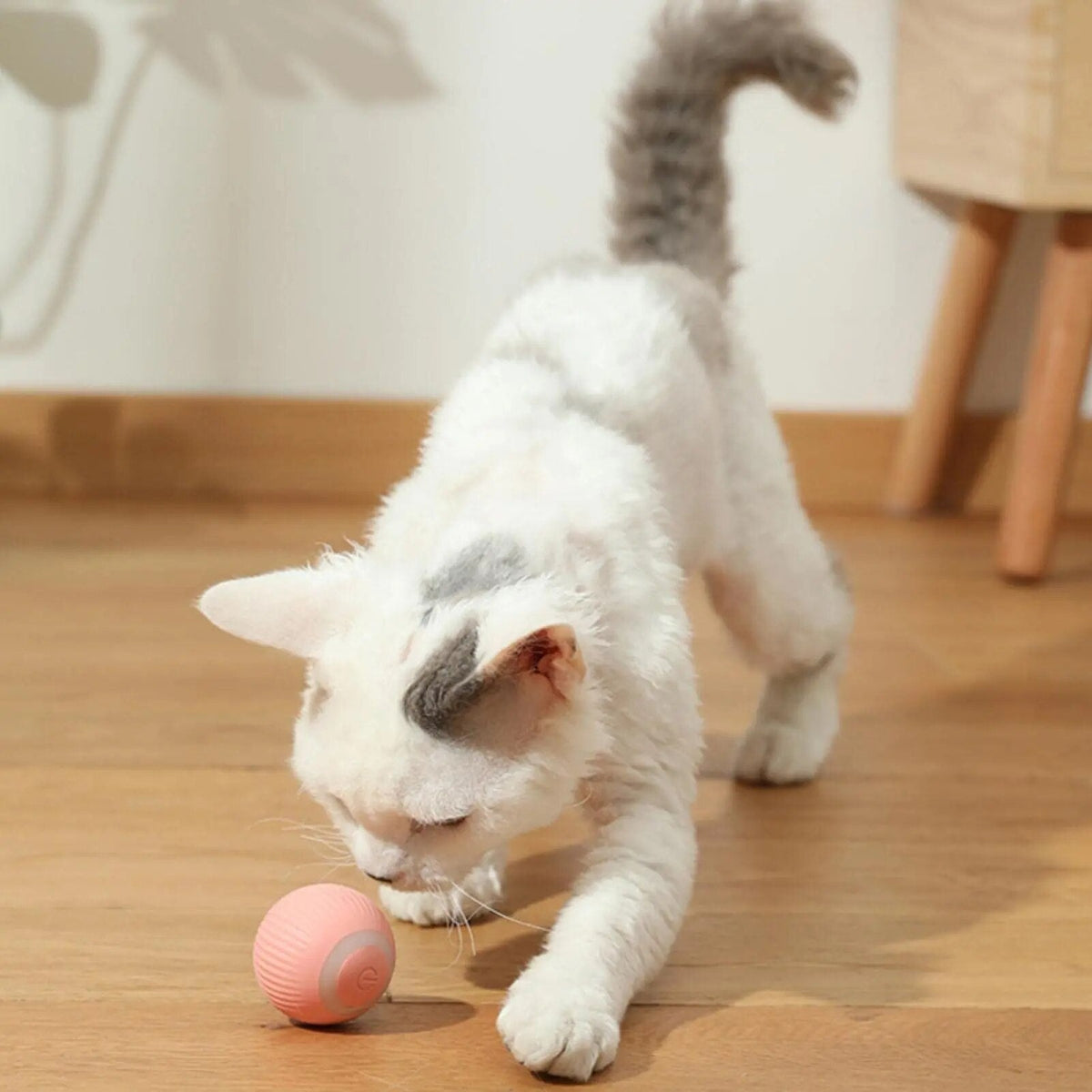 DogCatFri HuntingToy interaktive Technologie
