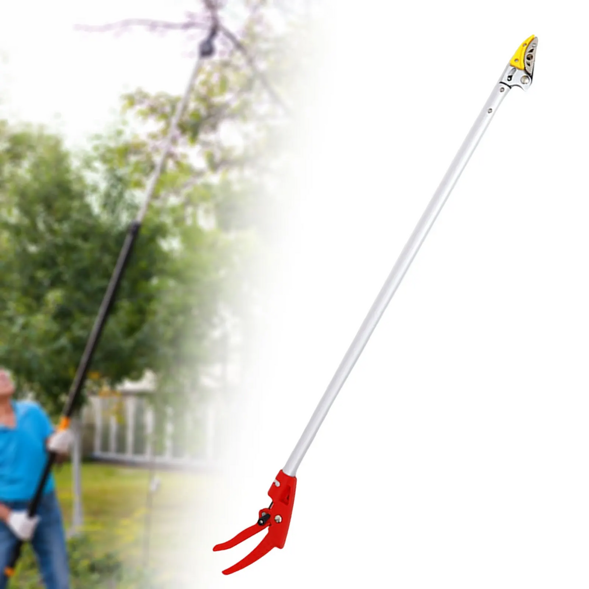 FruitPicker – Fruit Picker with Extension, No Climbing Required