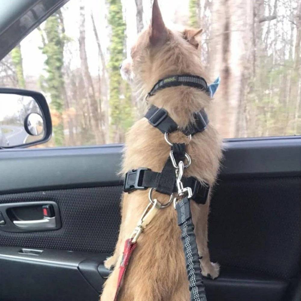 PawGuard Car Seat Belt for Dogs